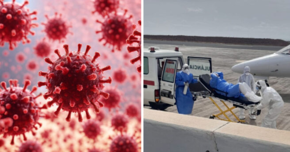hantavirus