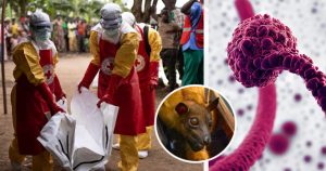 EBOLA
